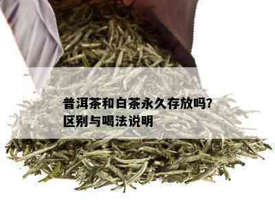 普洱茶和白茶永久存放吗？区别与喝法说明