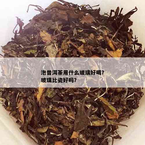 泡普洱茶用什么玻璃好喝？玻璃比瓷好吗？