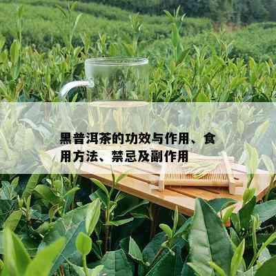 黑普洱茶的功效与作用、食用方法、禁忌及副作用