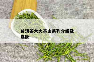 普洱茶六大茶山系列介绍及品牌