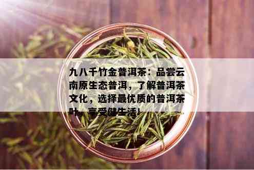 九八千竹金普洱茶：品尝云南原生态普洱，了解普洱茶文化，选择更优质的普洱茶叶，享受健生活！