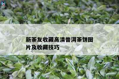 新茶友收藏高清普洱茶饼图片及收藏技巧