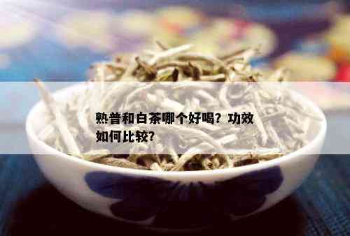 熟普和白茶哪个好喝？功效如何比较？