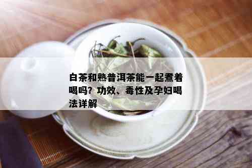 白茶和熟普洱茶能一起煮着喝吗？功效、性及孕妇喝法详解