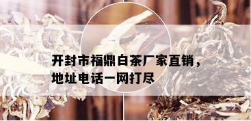 开封市福鼎白茶厂家直销，地址电话一网打尽