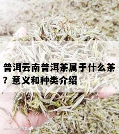 普洱云南普洱茶属于什么茶？意义和种类介绍