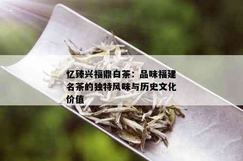 忆臻兴福鼎白茶：品味福建名茶的独特风味与历史文化价值