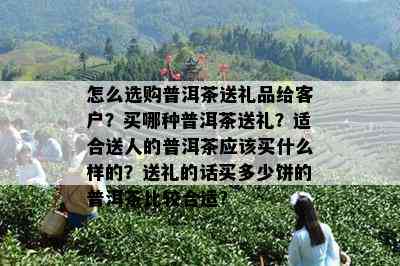 怎么选购普洱茶送礼品给客户？买哪种普洱茶送礼？适合送人的普洱茶应该买什么样的？送礼的话买多少饼的普洱茶比较合适？