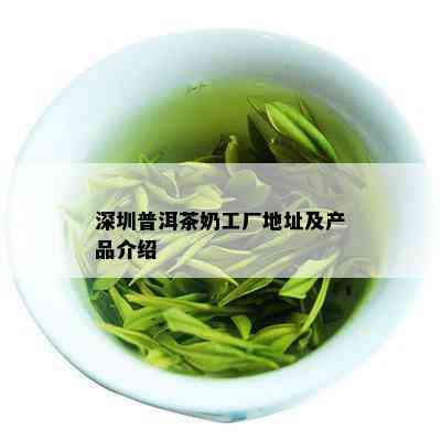 深圳普洱茶奶工厂地址及产品介绍