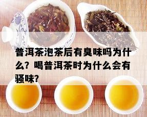 普洱茶泡茶后有臭味吗为什么？喝普洱茶时为什么会有骚味？