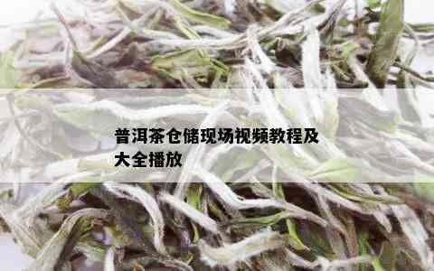 普洱茶仓储现场视频教程及大全播放