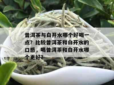 普洱茶与白开水哪个好喝一点？比较普洱茶和白开水的口感，喝普洱茶和白开水哪个更好？