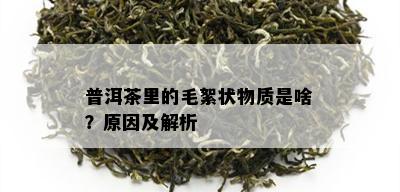 普洱茶里的毛絮状物质是啥？原因及解析