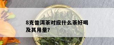 8克普洱茶对应什么茶好喝及其用量？