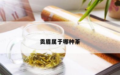 贡眉属于哪种茶