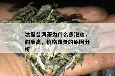 冰岛普洱茶为什么多泡水，甜度高，价格昂贵的原因分析