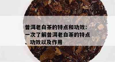 普洱老白茶的特点和功效：一次了解普洱老白茶的特点、功效以及作用