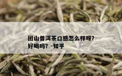 团山普洱茶口感怎么样呀？好喝吗？-知乎