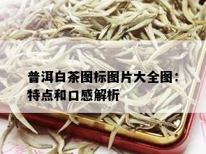 普洱白茶图标图片大全图：特点和口感解析