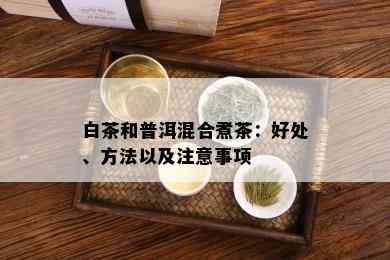 白茶和普洱混合煮茶：好处、方法以及注意事项