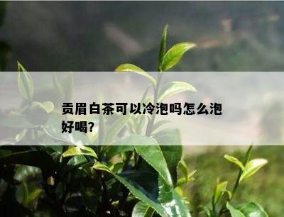 贡眉白茶可以冷泡吗怎么泡好喝？