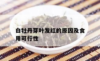 白牡丹芽叶发红的原因及食用可行性