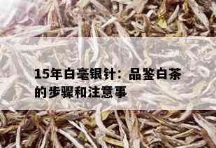 15年白毫银针：品鉴白茶的步骤和注意事