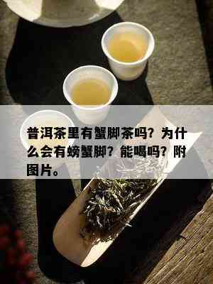 普洱茶里有蟹脚茶吗？为什么会有螃蟹脚？能喝吗？附图片。