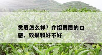 贡眉怎么样？介绍贡眉的口感、效果和好不好