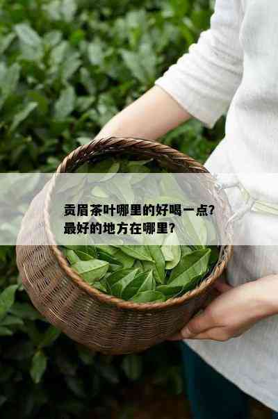 贡眉茶叶哪里的好喝一点？更好的地方在哪里？