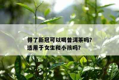 得了新冠可以喝普洱茶吗？适用于女生和小孩吗？