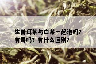 生普洱茶与白茶一起泡吗？有吗？有什么区别？