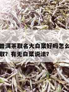 普洱茶取名大白菜好吗怎么取？有无白菜说法？