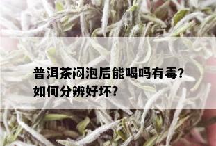 普洱茶闷泡后能喝吗有？如何分辨好坏？