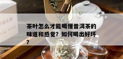 茶叶怎么才能喝懂普洱茶的味道和感觉？如何喝出好坏？