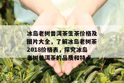 冰岛老树普洱茶生茶价格及图片大全，了解冰岛老树茶2018价格表，探究冰岛老树普洱茶的品质和特点。