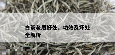 白茶老眉好处、功效及坏处全解析