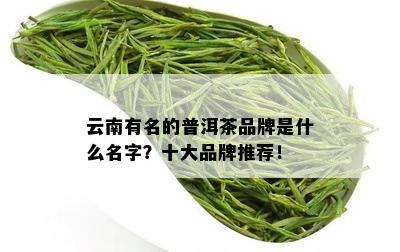 云南有名的普洱茶品牌是什么名字？十大品牌推荐！