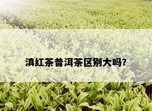 滇红茶普洱茶区别大吗？