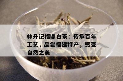 林升记福鼎白茶：传承百年工艺，品尝福建特产，感受自然之美