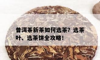 普洱茶新茶如何选茶？选茶叶、选茶饼全攻略！