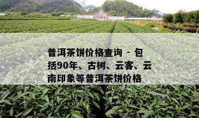 普洱茶饼价格查询 - 包括90年、古树、云客、云南印象等普洱茶饼价格