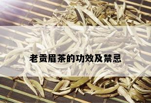 老贡眉茶的功效及禁忌