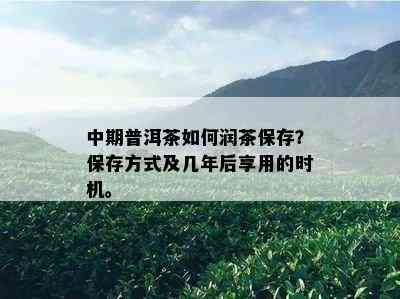 中期普洱茶如何润茶保存？保存方式及几年后享用的时机。