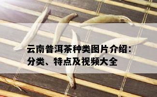 云南普洱茶种类图片介绍：分类、特点及视频大全