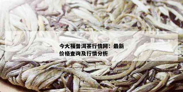 今大福普洱茶行情网：最新价格查询及行情分析