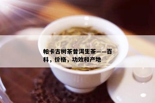 帕卡古树茶普洱生茶——百科，价格，功效和产地