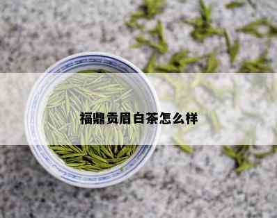 福鼎贡眉白茶怎么样