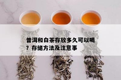 普洱和白茶存放多久可以喝？存储方法及注意事