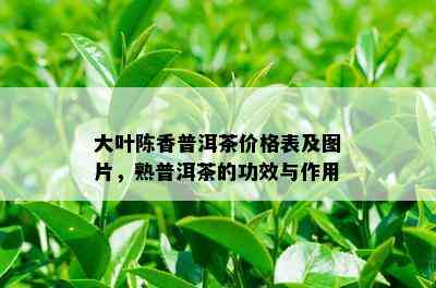 大叶陈香普洱茶价格表及图片，熟普洱茶的功效与作用